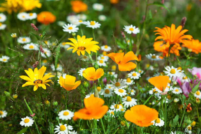 Dorfnäscht Kloten Öffnungszeiten Mai 2026